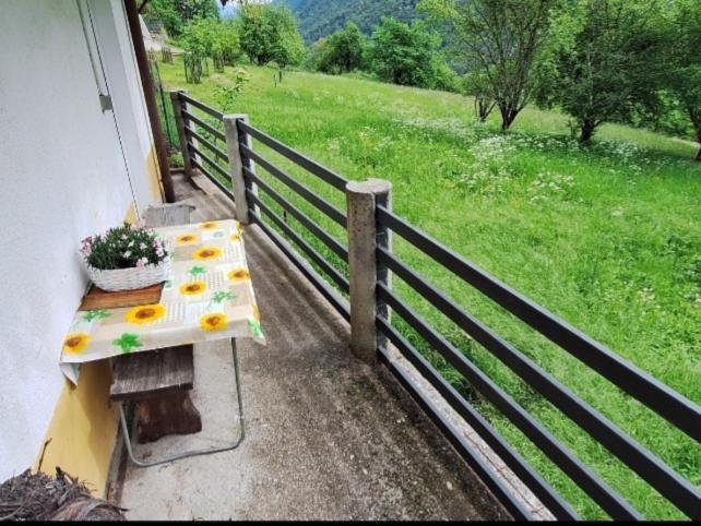 Apartma Nadiza Borjana107 Eksteriør billede